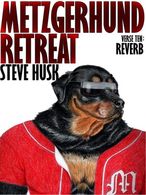 cover image of Reverb